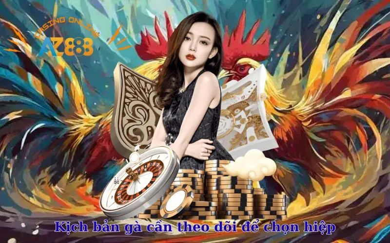 Kịch bản gà cần theo dõi để chọn hiệp